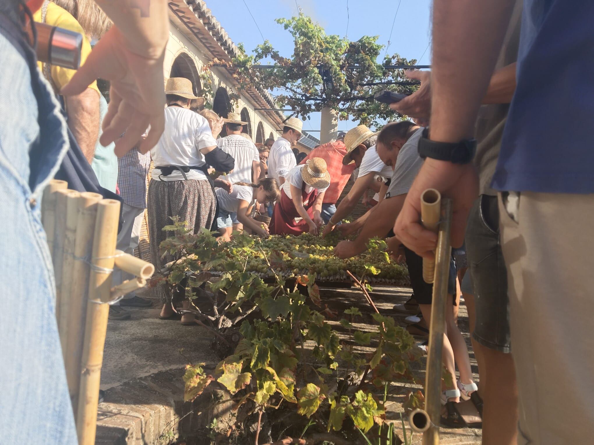 L&#039;Escaldà del Raïm a Ròtova