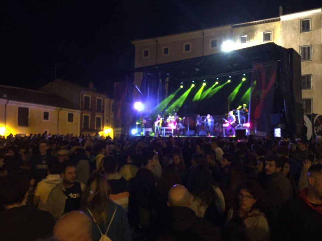 Imagen de archivo de una verbena