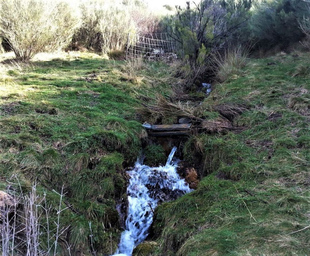 Uno de los manantiales de los que pretende tomar el agua el proyecto de planta embotelladora