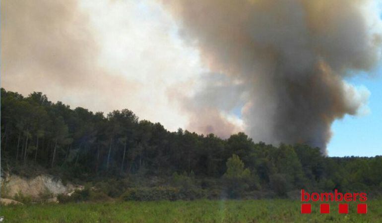 Imatge de la fumera de l'incendi de la Pobla de Monternès.