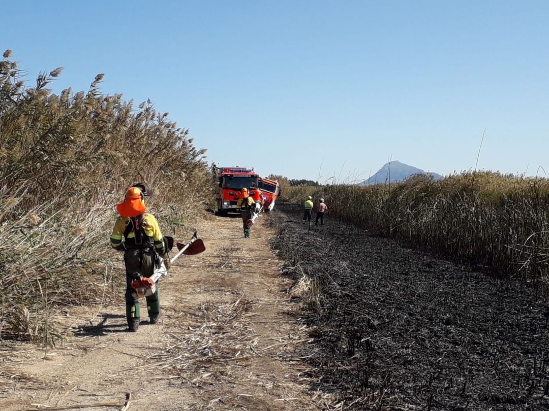 Unidades trabajando en el Marjal Oliva-Pego. 