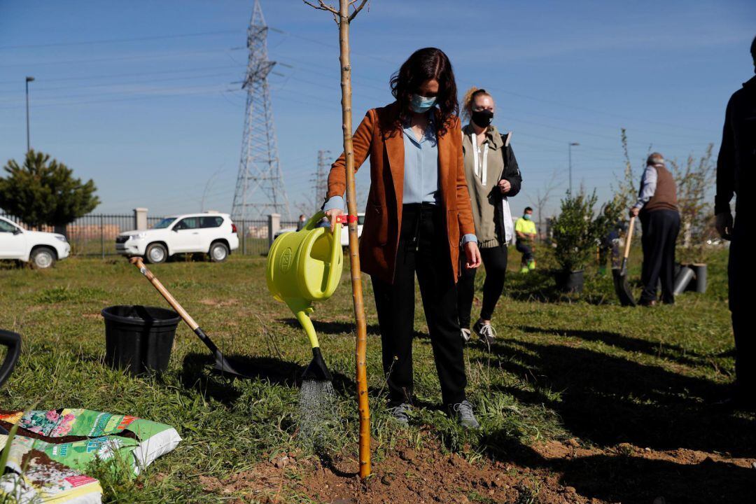 La presidenta de la Comunidad de Madrid, Isabel Díaz Ayuso, participa este martes en Getafe en las tareas de reforestación dirigidas a paliar la pérdida de arbolado a causa de la borrasca Filomena. 