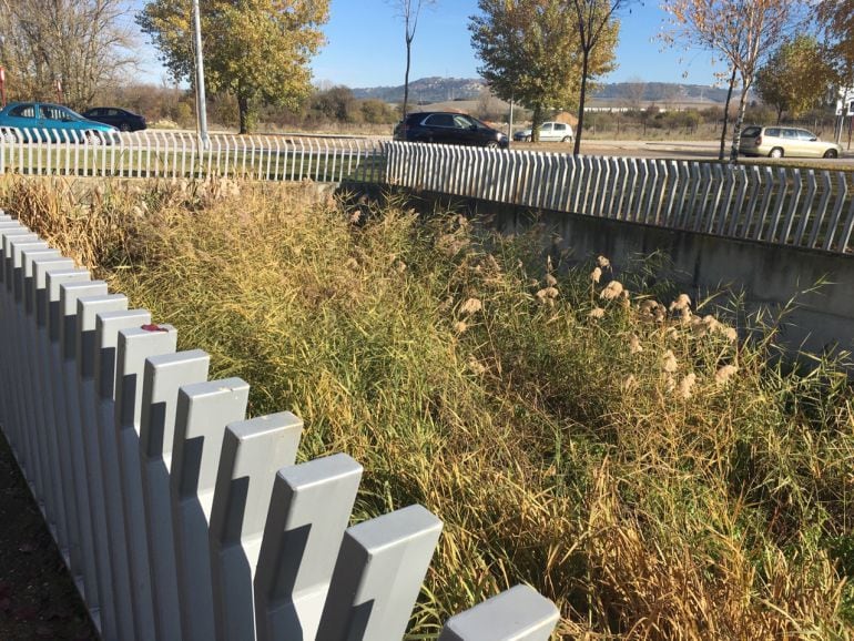 Estado que presenta la reja del arroyo de Villalobón