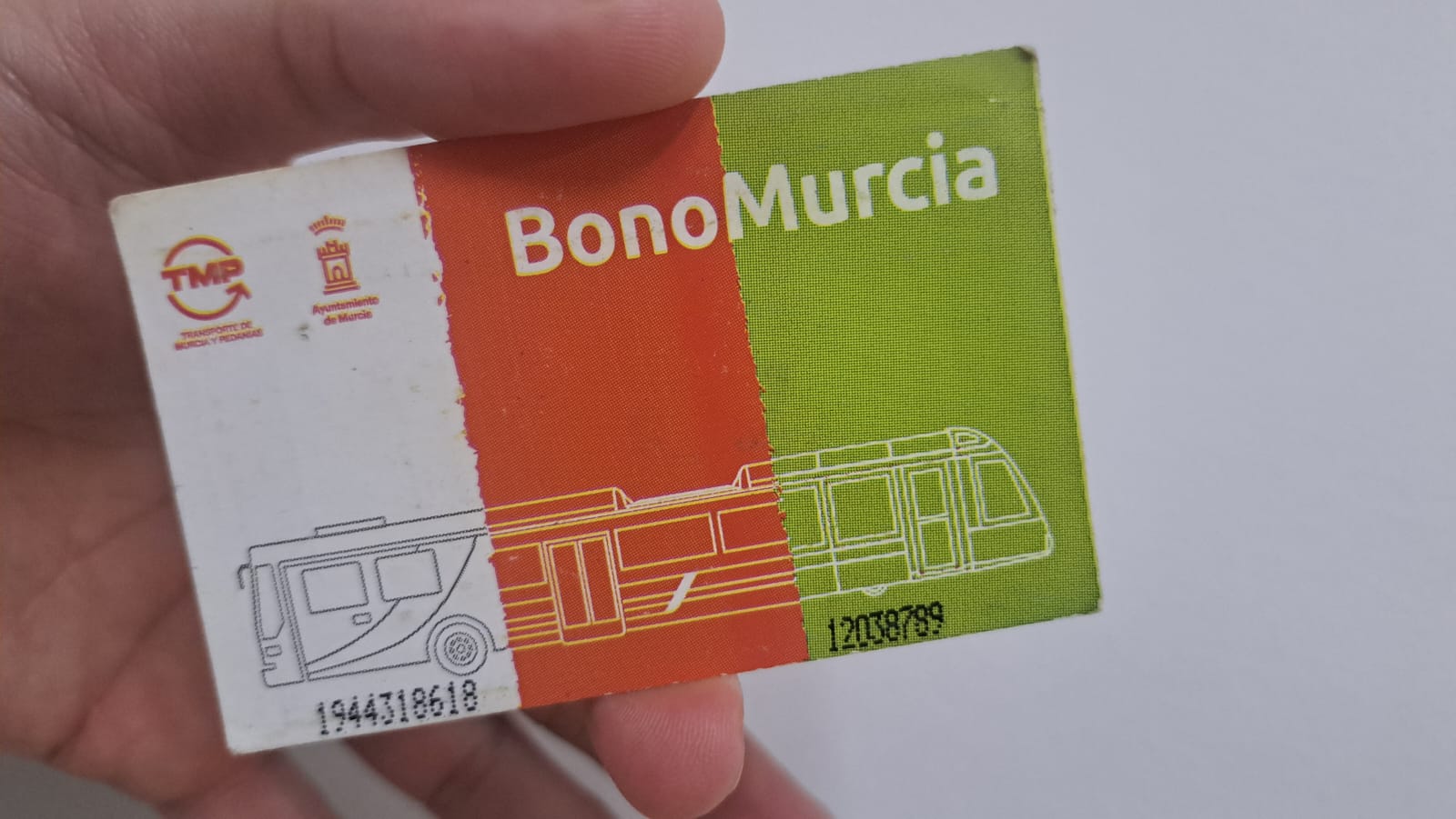 Bono Murcia tricolor