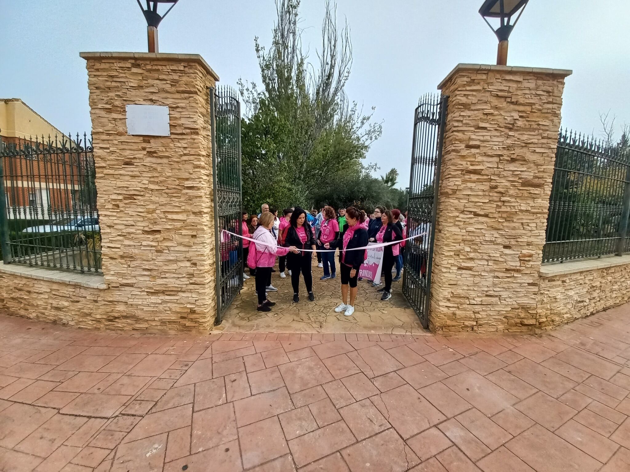 Marcha contra el cáncer en Sax