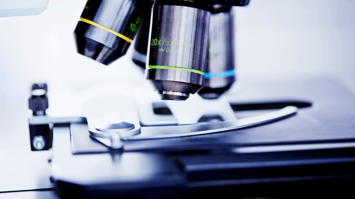 Las asociaciones que buscan bebés robados califican de "espectacular" la creación de un banco genético, pero piden rigor cuando los casos no están confirmados