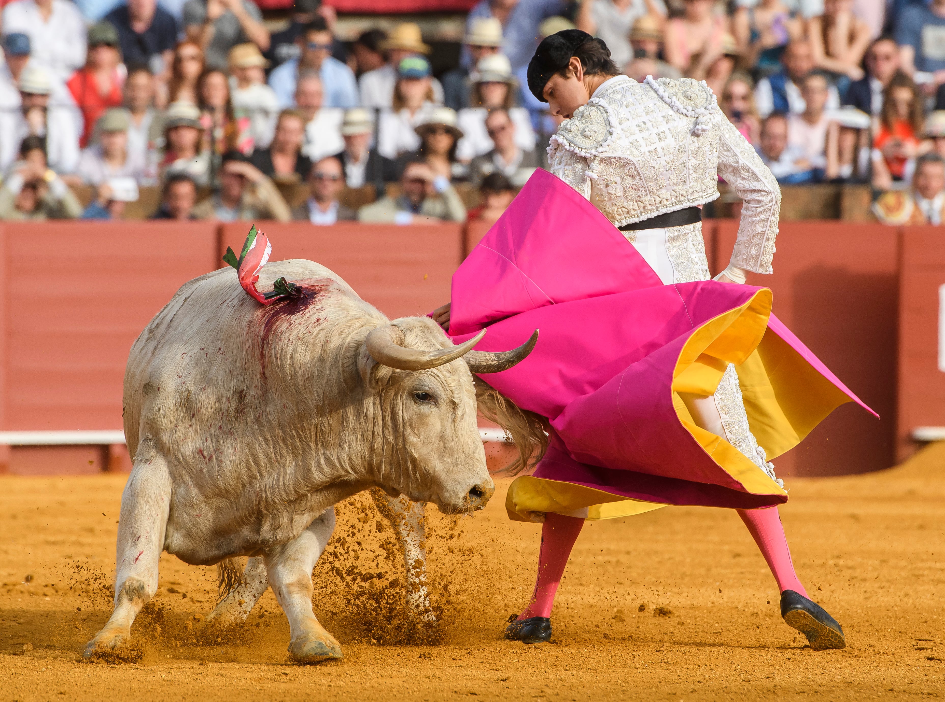 SEVILLA, 09/04/2023.- El diestro Andrés Roca Rey con su primer toro, esta tarde de Domingo de Resurrección en la Plaza de la Maestranza de Sevilla. EFE/ Raúl Caro.
