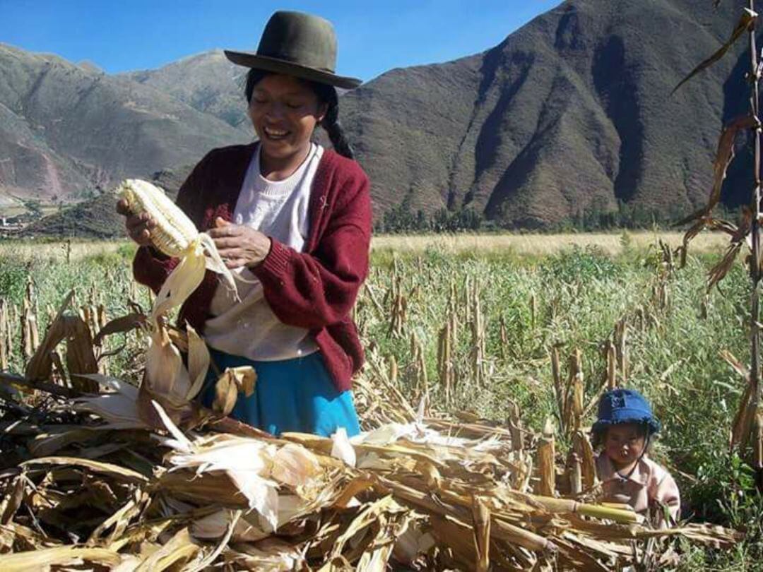 La labor que Egoaizia ha desarrollado en el exterior se ha centrado en los últimos años en Perú