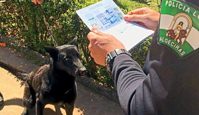 Una de las sanciones a propietarios de mascotas