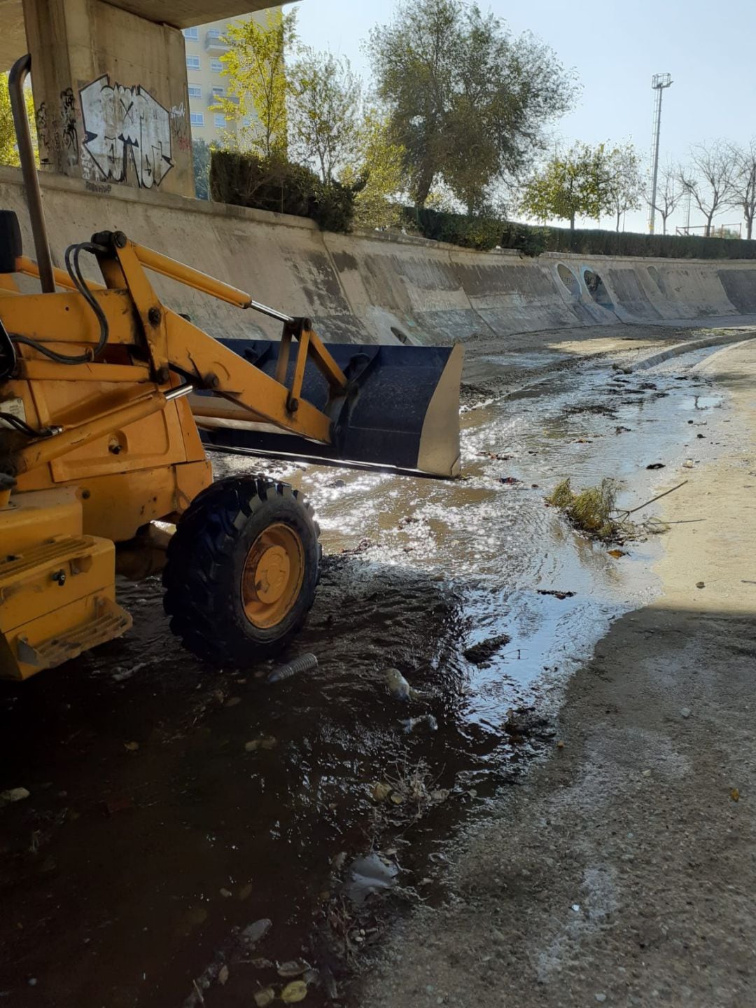 Limpieza del río Vinalopó a su paso por Elda 