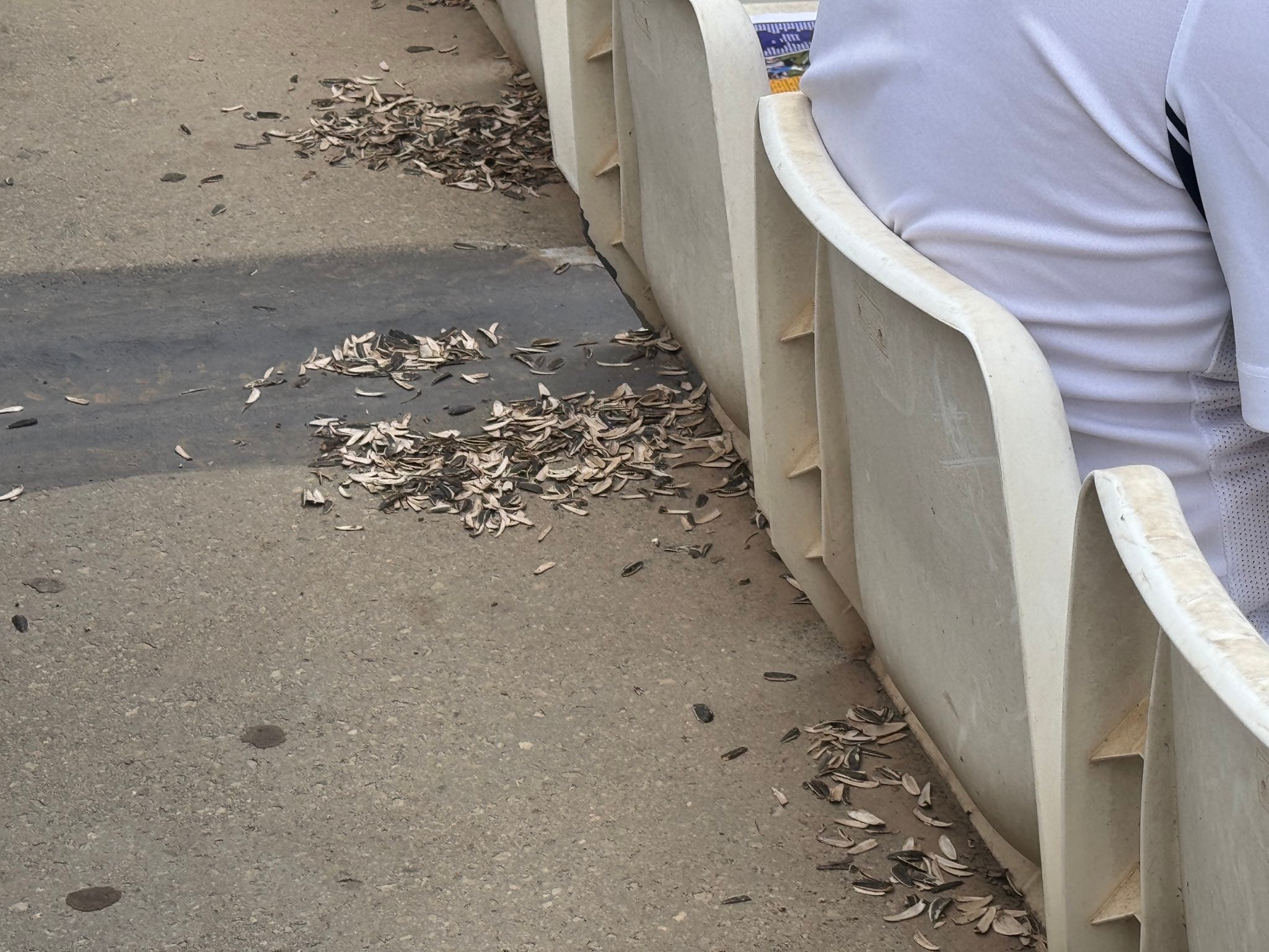 Cáscaras de pipa en el suelo antes de que empiece el partido