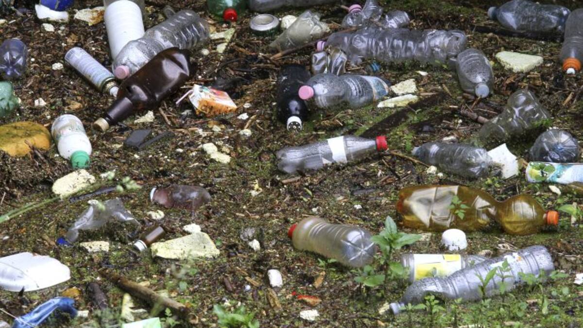 XXXIV Semana de la Juventud en Toledo