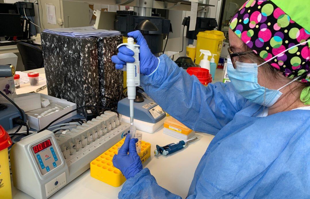 Análisis de PCR en un hospital