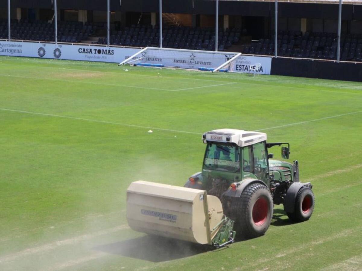 Comienzan los trabajos de resiembra en el Cartagonova