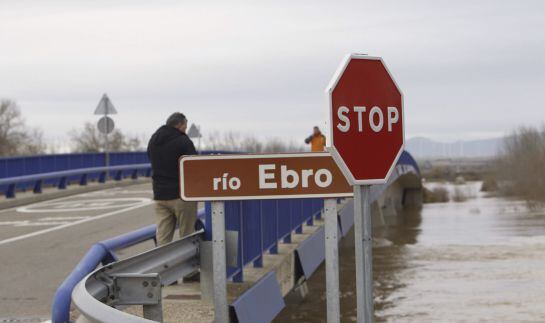 FOTOGALERÍA. Los estragos de la crecida del Ebro.