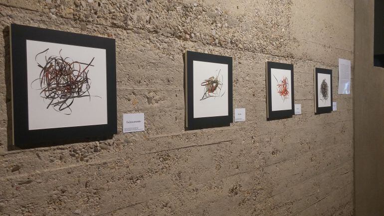 Imagen de la exposición