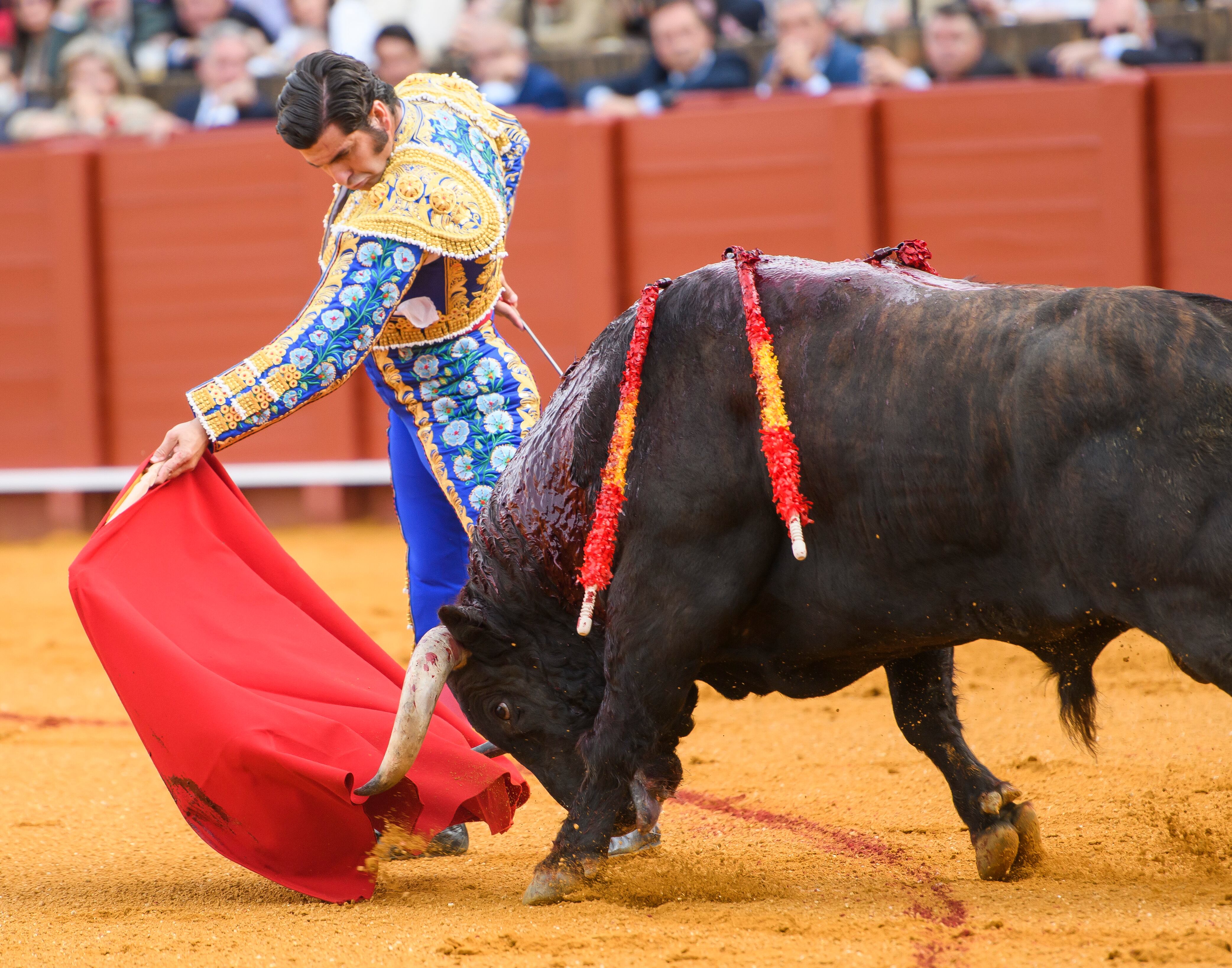 SEVILLA. 17/04/2022. - El diestro Morante de la Puebla, con su primer toro de la tarde este Domingo de Resurrección en la Plaza de La Maestranza de Sevilla.- EFE/ Raúl Caro.
