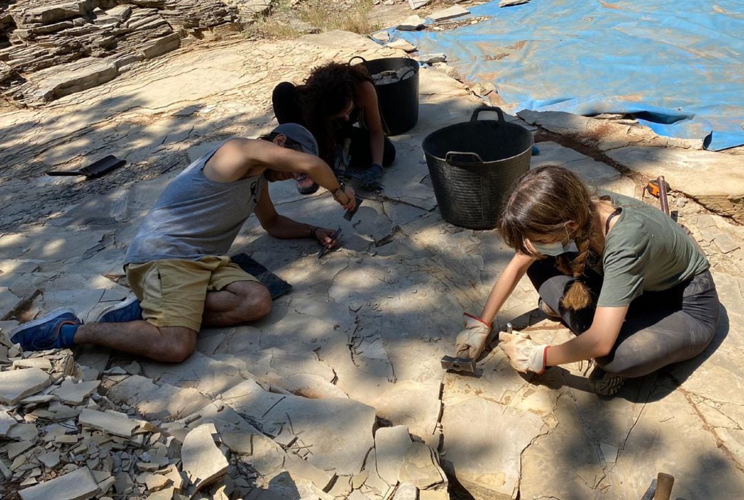 Los trabajos de excavación en el yacimiento paleontológico de Las Hoyas, en el municipo de La Cierva (Cuenca), se desarrollan hasta el 15 de julio.