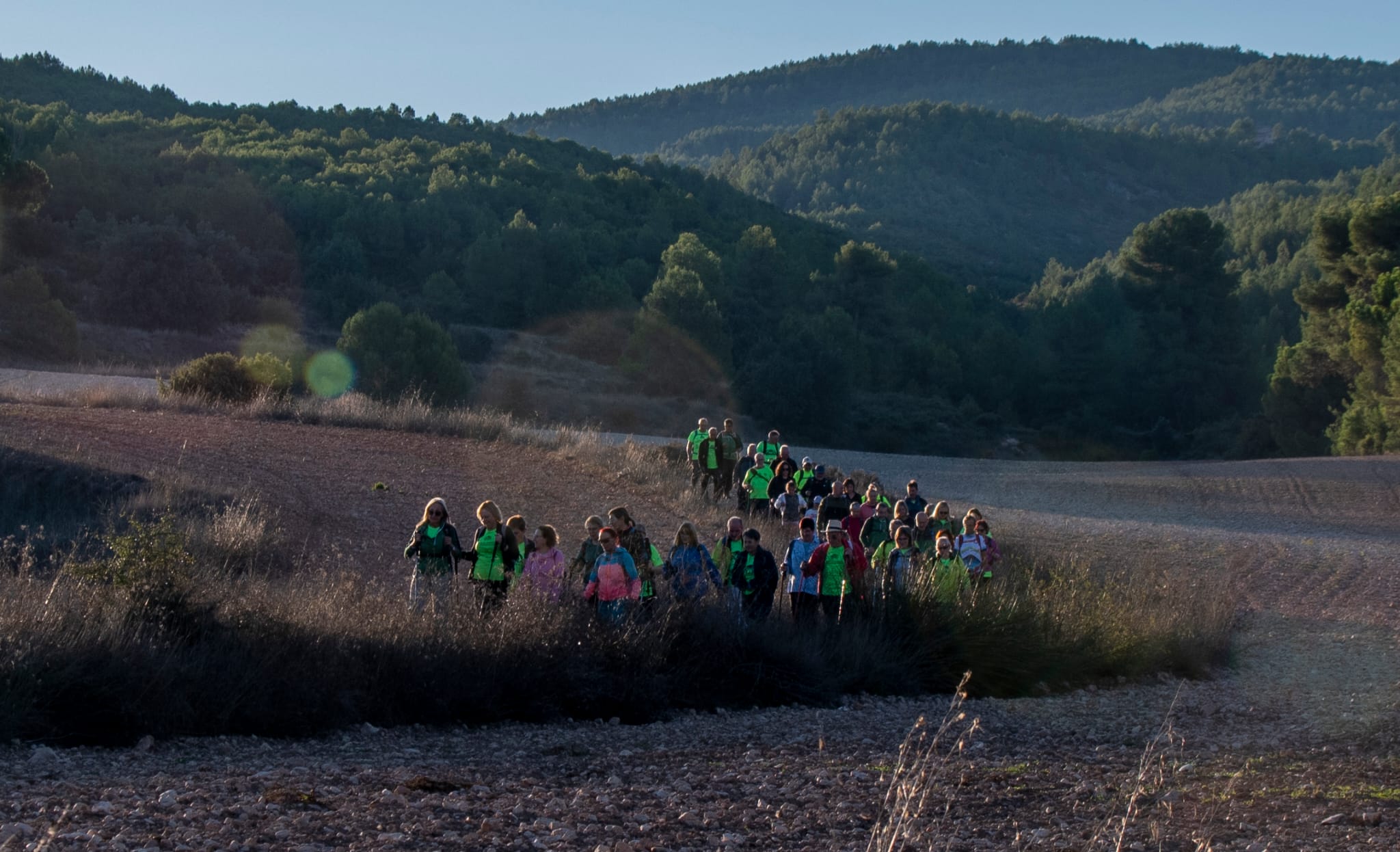 Aviana en Banyeres de Mariola