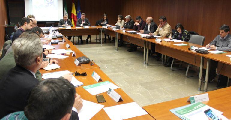 Miembros del Consejo Andaluz del Olivar durante la reunión.