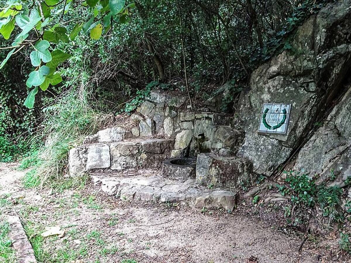 Marxuquera comienza sus fiestas con una ruta y limpieza de la Font del Llorer como novedad