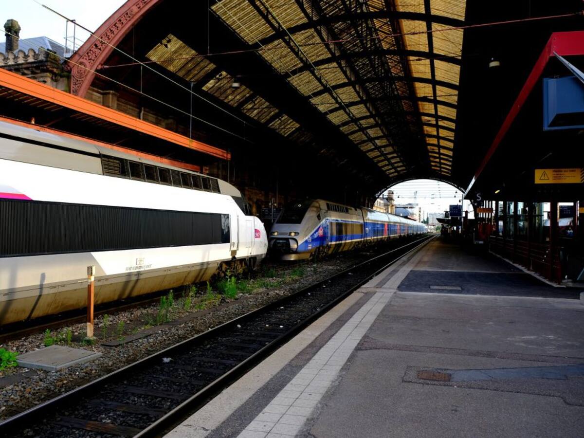 Arasti dice que la formación de Gobierno en España permitirá avanzar en el TAV