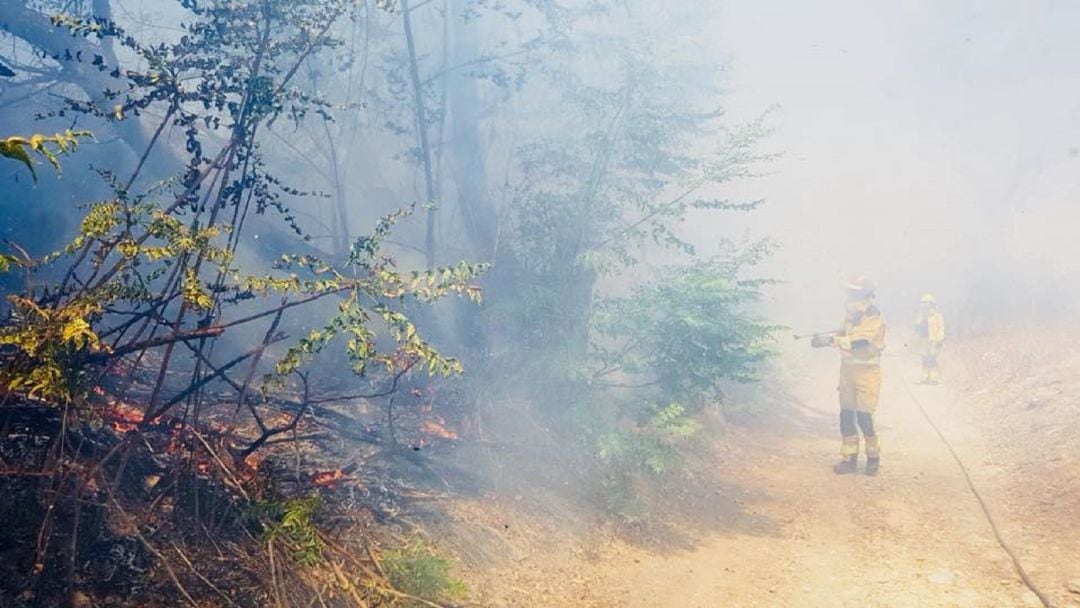 Los bomberos de Jaén trabajan en la extinción del fuego.