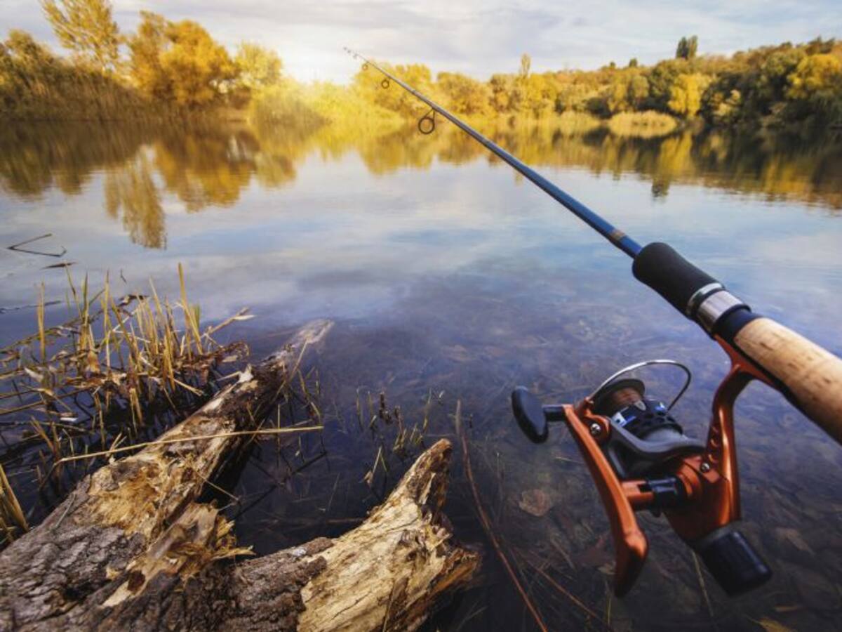 Desciende el número de pescadores en la provincia de Palencia