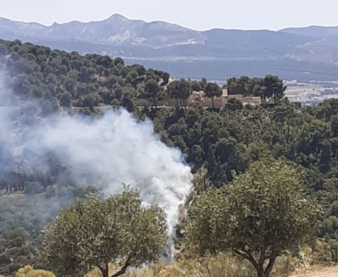 Entorno de la Fuente del Avellano afectada por un incendio forestal