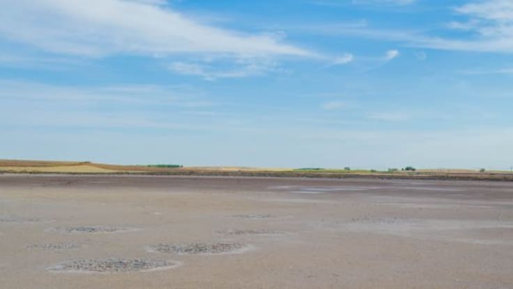 CurioSERando: Quero, los escarabajos y el Mediterráneo