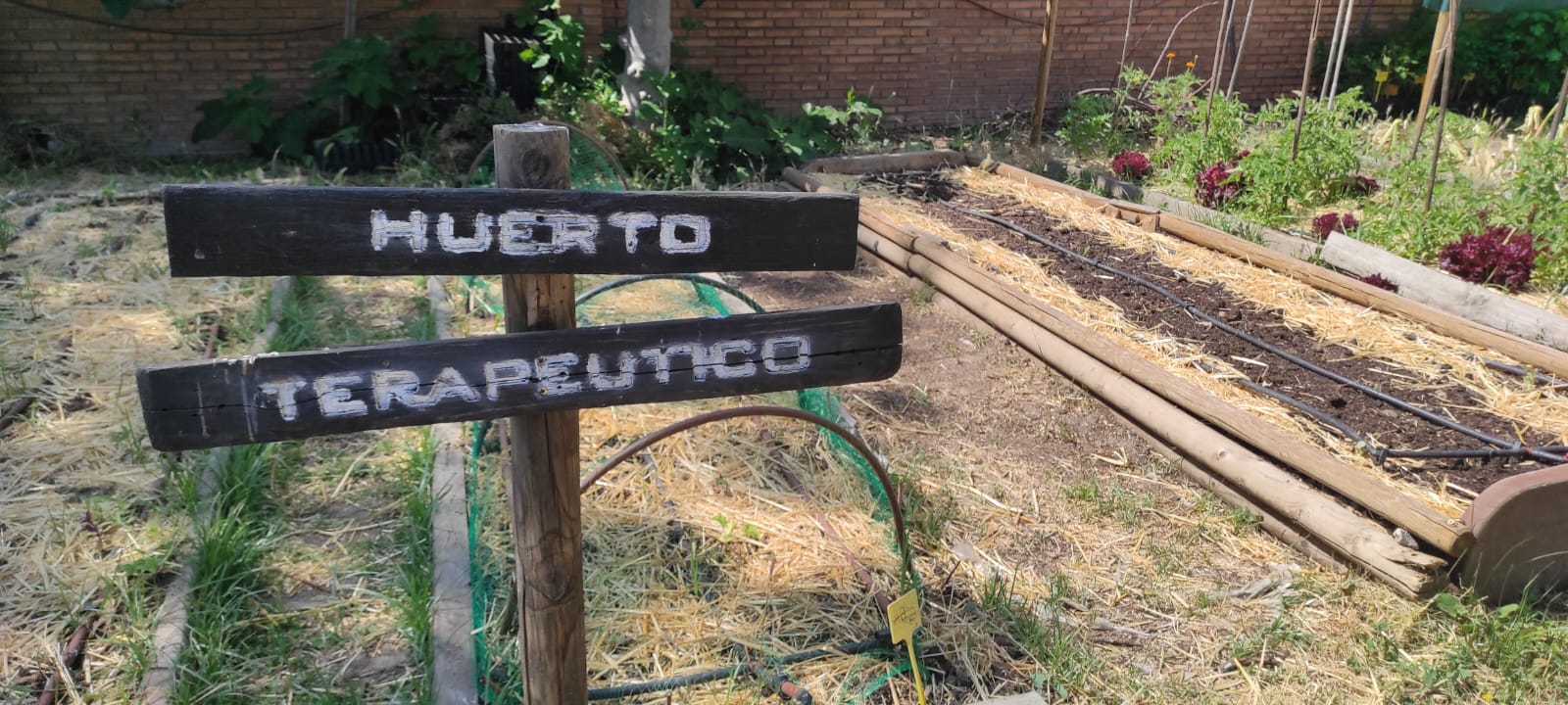 El Huerto del Retiro, algo más que agricultura urbana