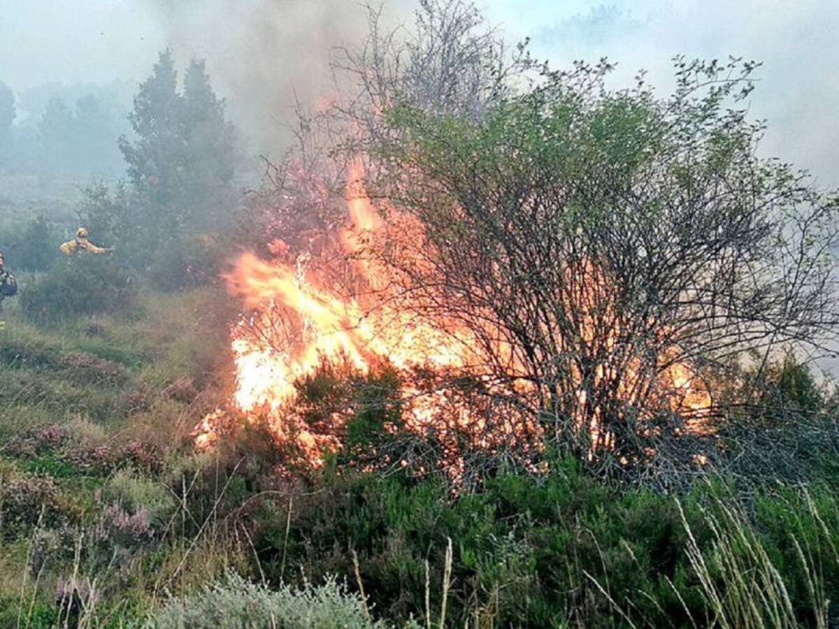 El incendio de Tabanera de Valdavia devasta ya centenares de hectáreas
