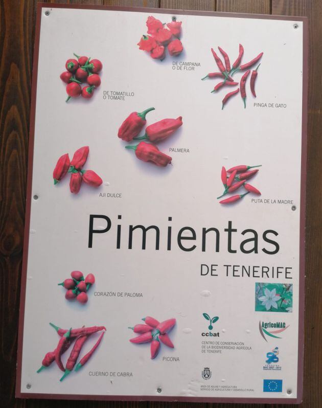 Tipos de pimientas