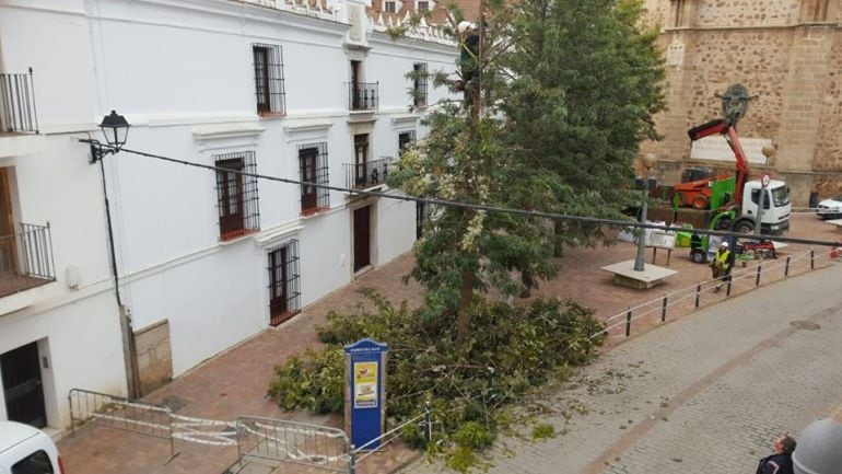 Momento del inicio de los trabajos de retirada.