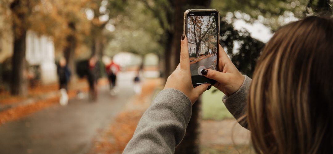 Chica fotografiando un árbol