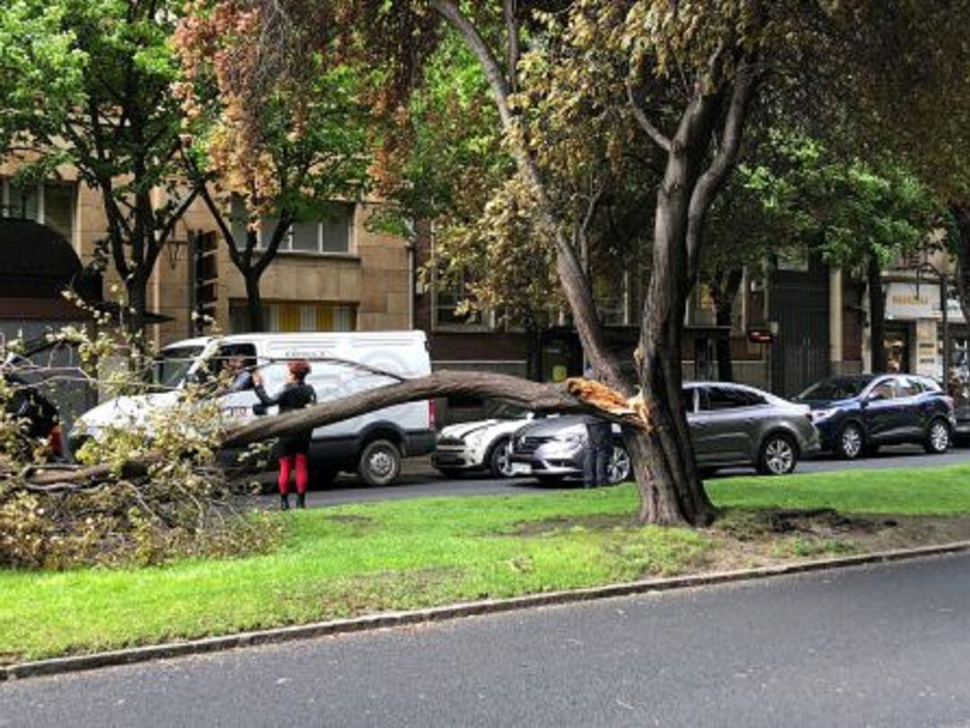 Las fuertes rachas de viento provocaron varios incidentes en Palencia