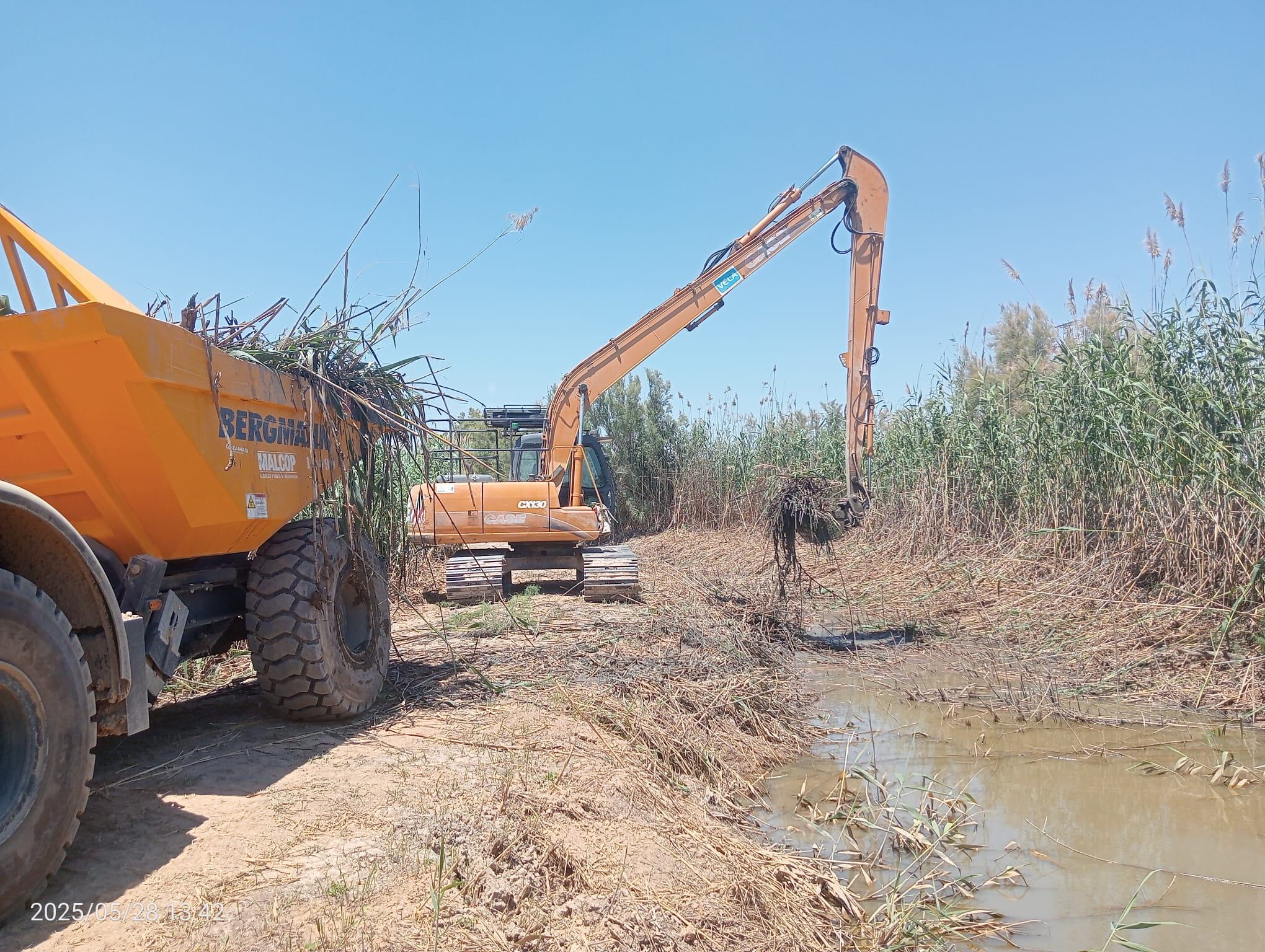 La CHJ acaba la restauración de los cauces dañados por la DANA en el tramo bajo del Júcar
