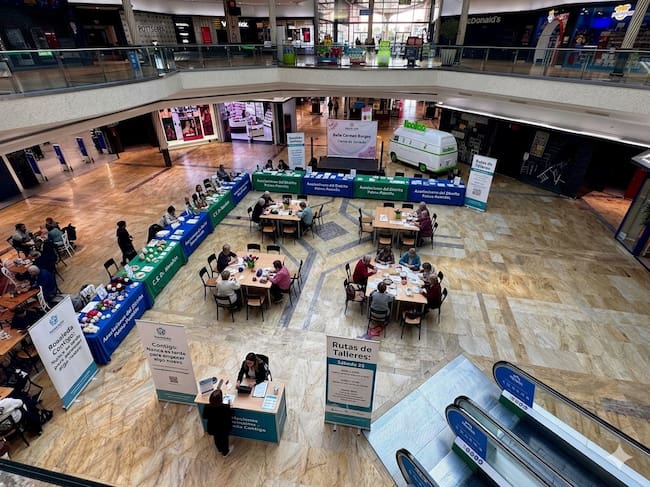 Jornada de talleres Rosales y Asociaciones del Distrito