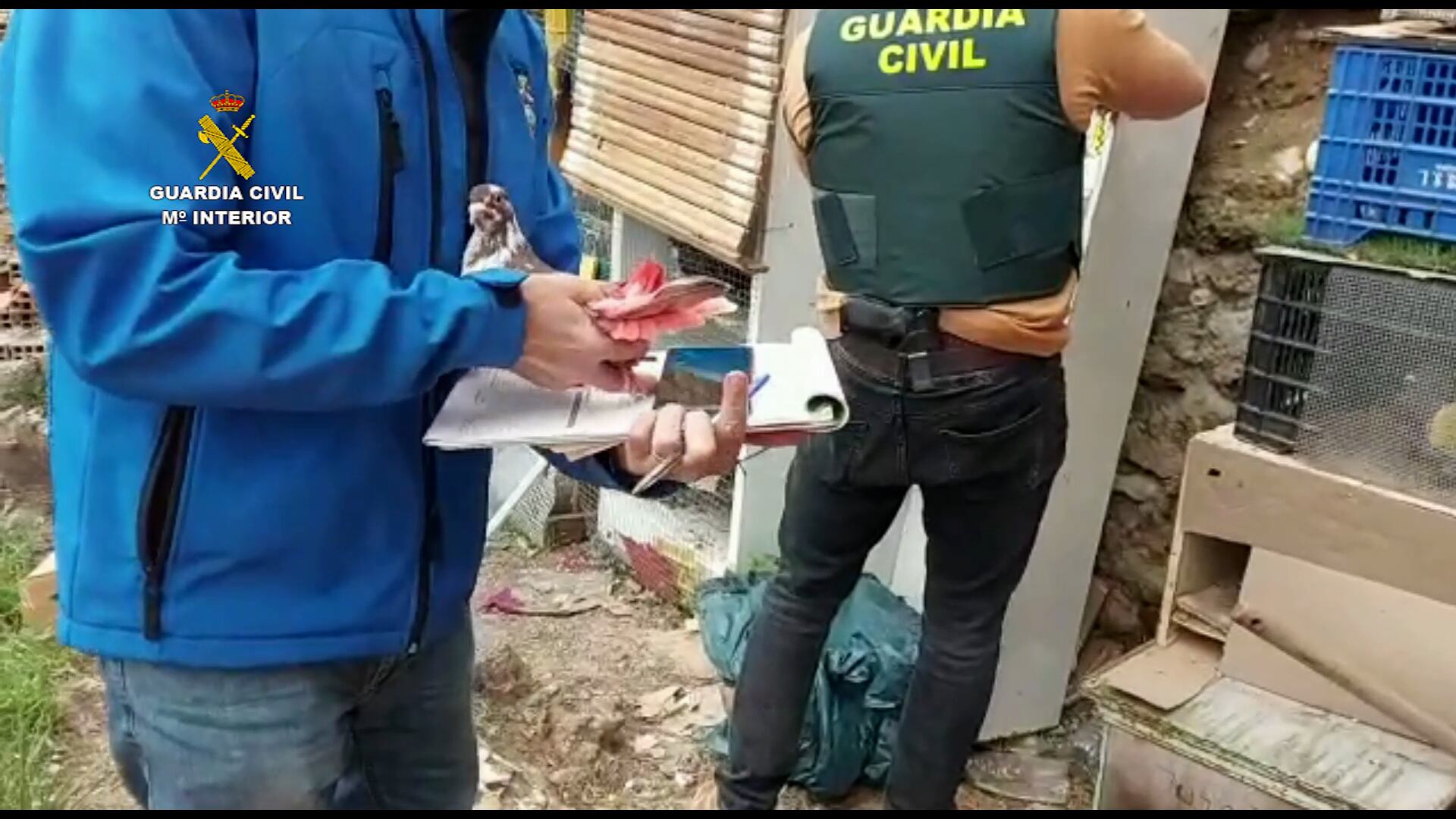 Imatge de l'operació de la Guàrdia Civil