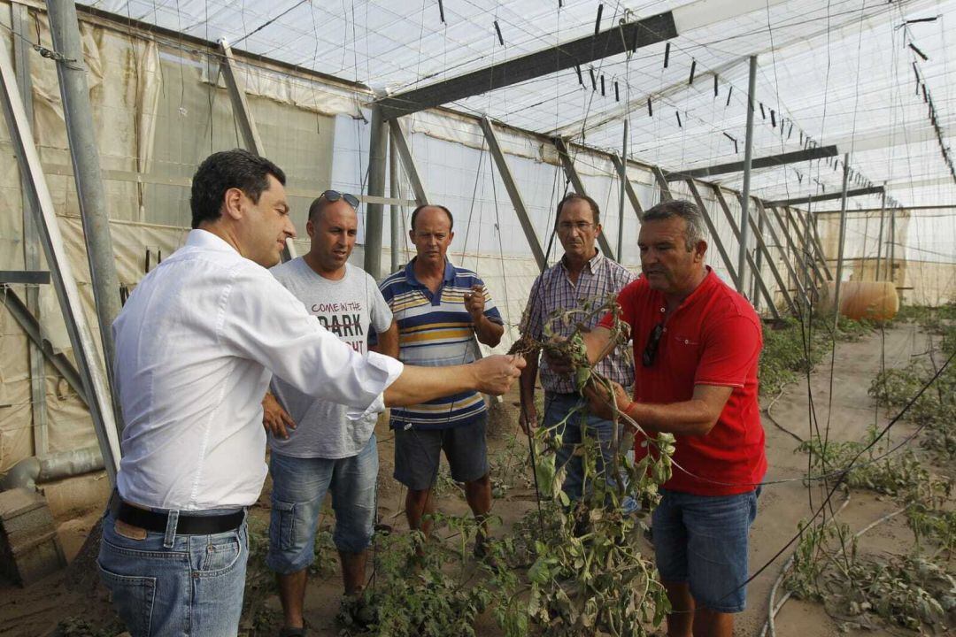 Juanma Moreno visita los invernaderos afectados por la gota fría.