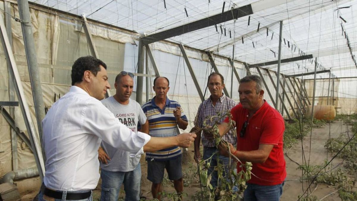 El plan de la Junta prevé 20 millones para arreglar invernaderos y caminos