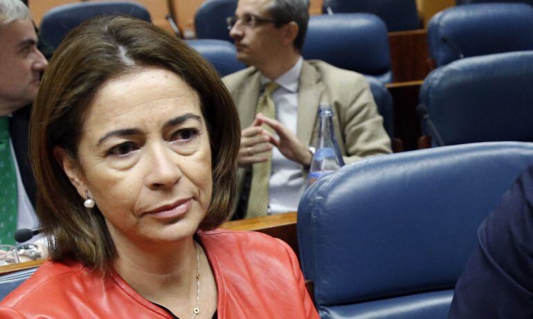 La diputada regional del PP Elena González-Moñux, en la Asamblea de Madrid en una foto de noviembre de 2015. 