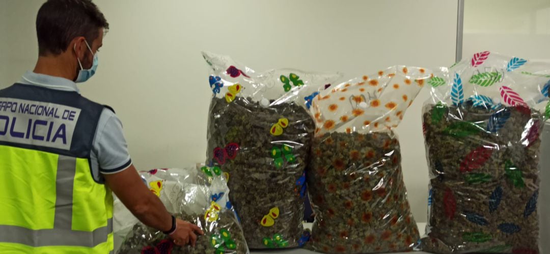 Operativo de Navidad