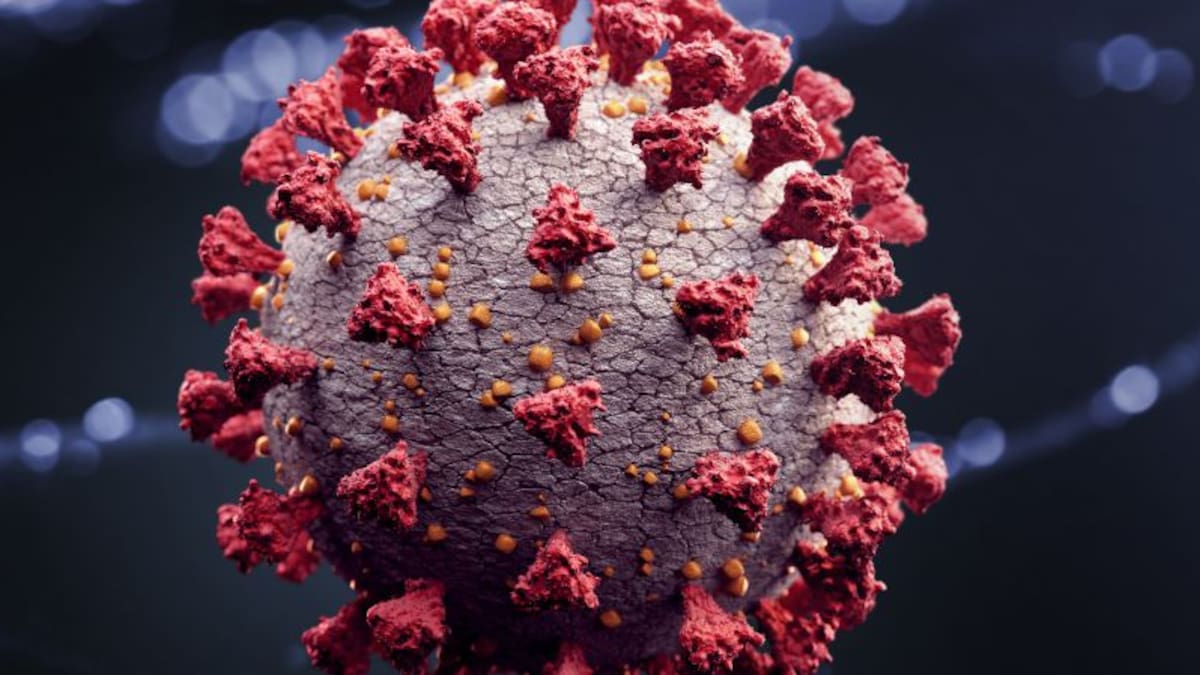 A Coruña Opina (05/04/2020 Tramo de 12 a 13)