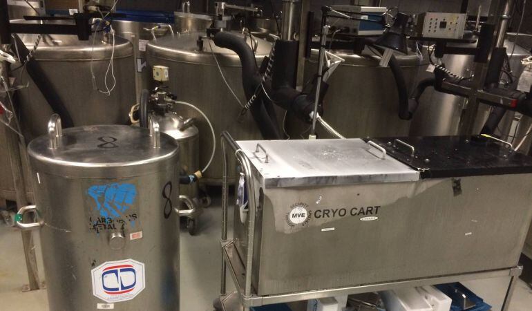 En aquest potent congelador es guarden les mostres d’esperma i teixit ovàric