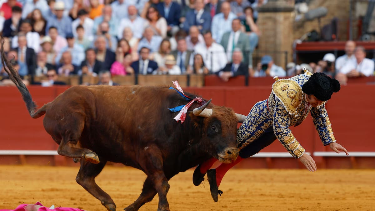 El doctor Octavio Mulet no habla aún de plazos para la recuperación de Morante
