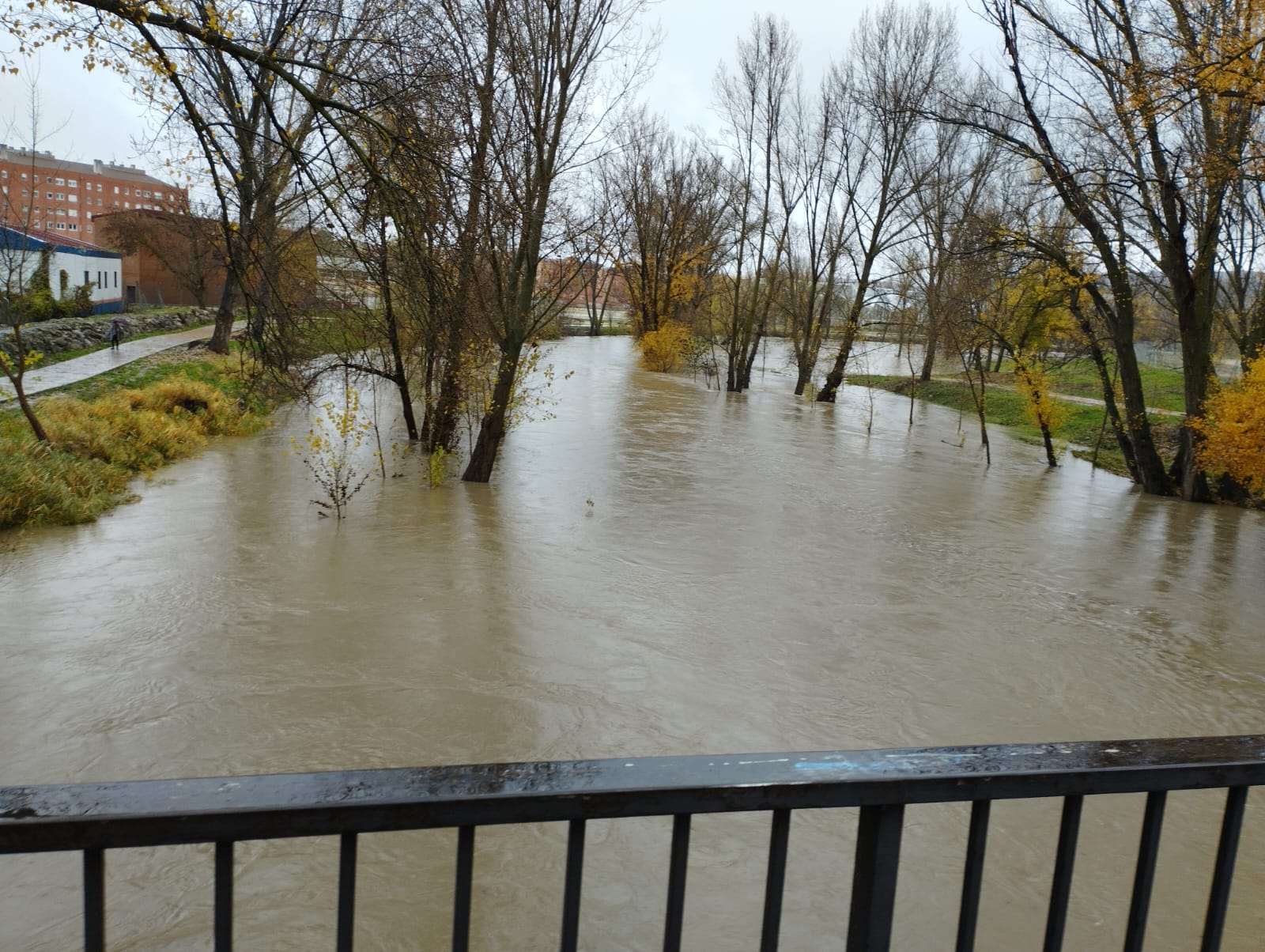 Situación del río Júcar a la altura del paseo fluvial