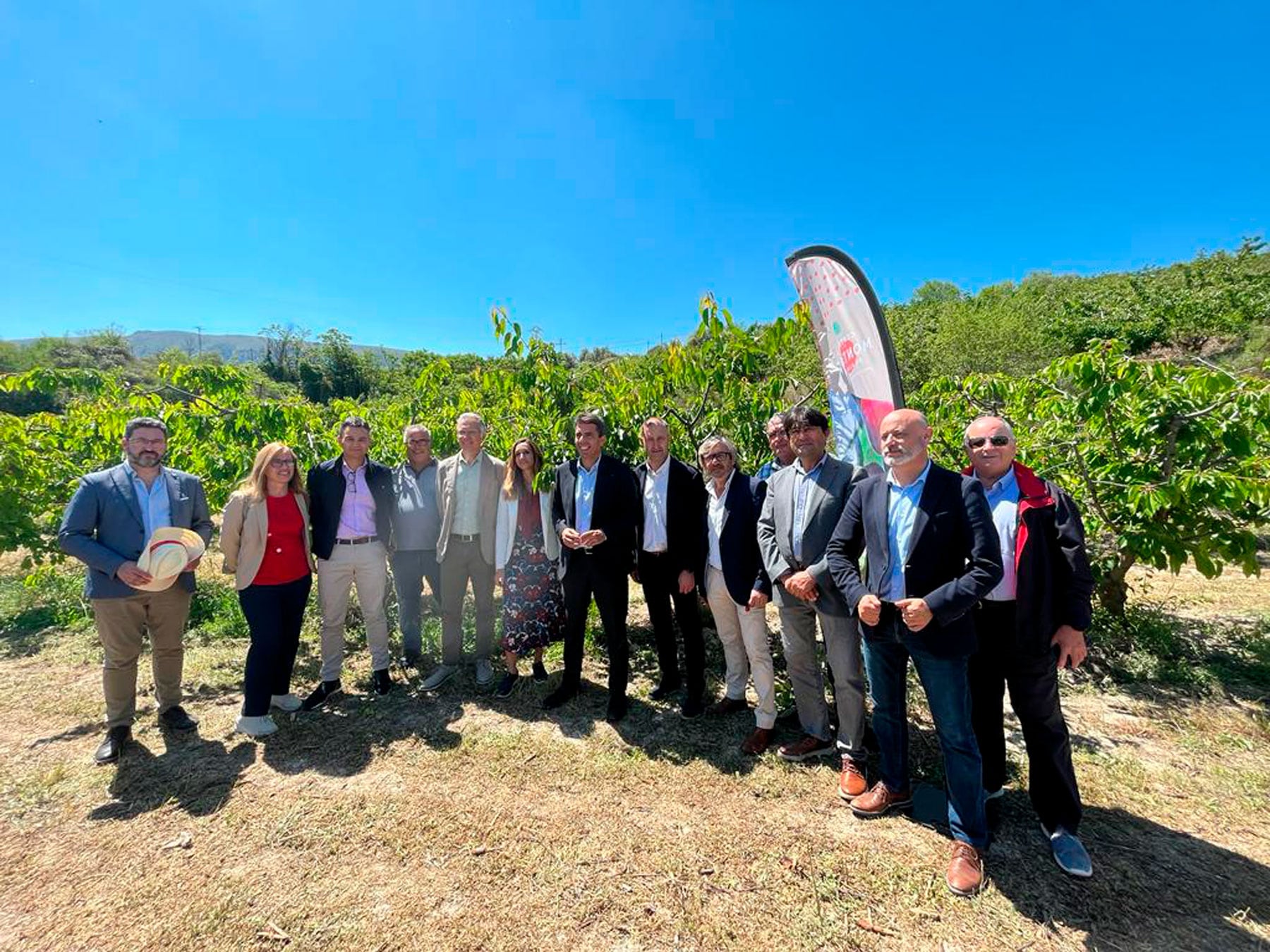 Imagen de las autoridades y agricultores en la presentación de la campaña de la cereza en unos de los campos de cultivo