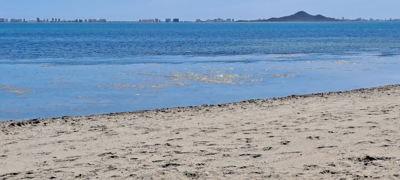 Playa del Mar Menor