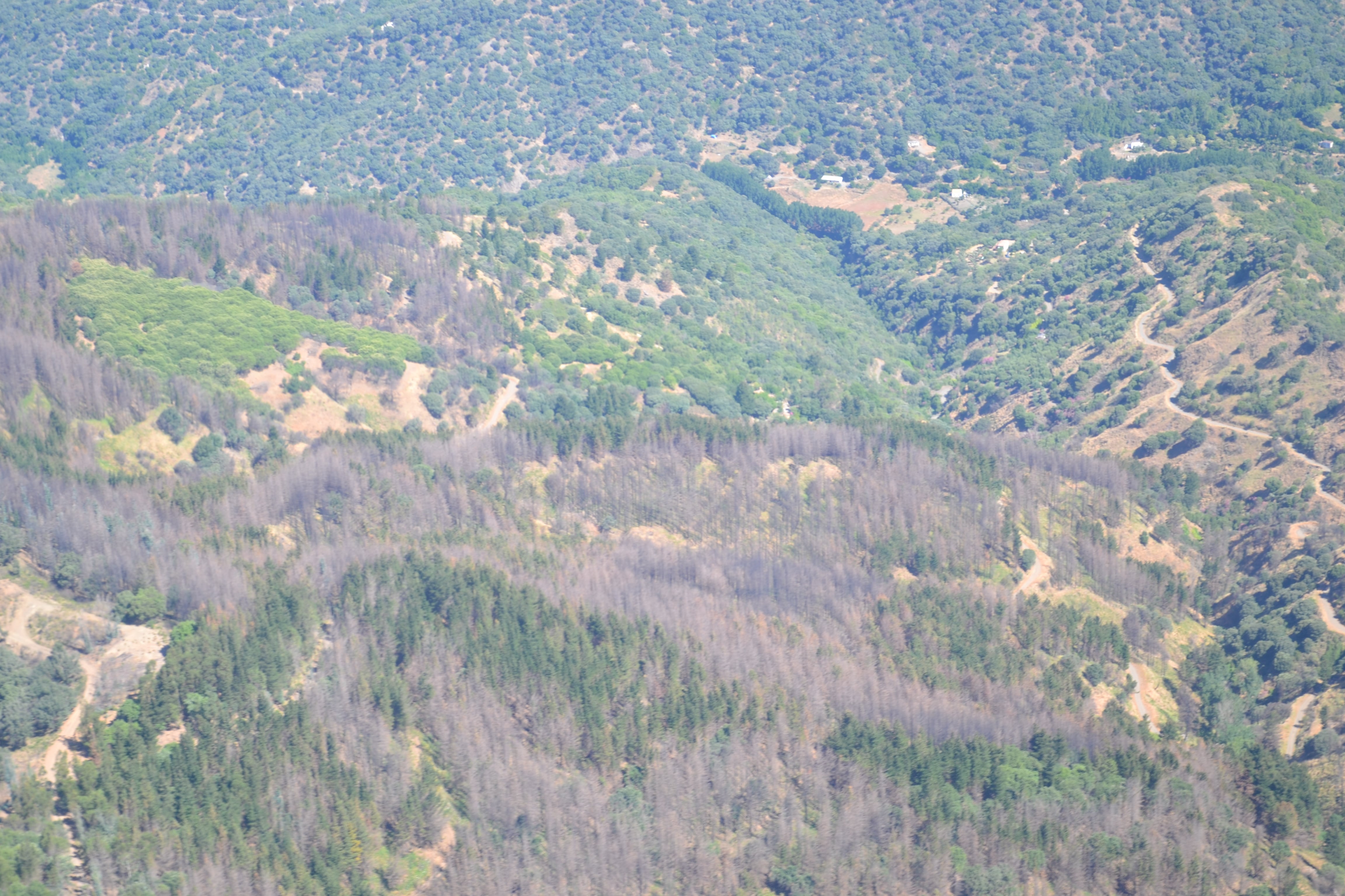 Vista áerea de la superficie arrasada por el incendio de Pujerra